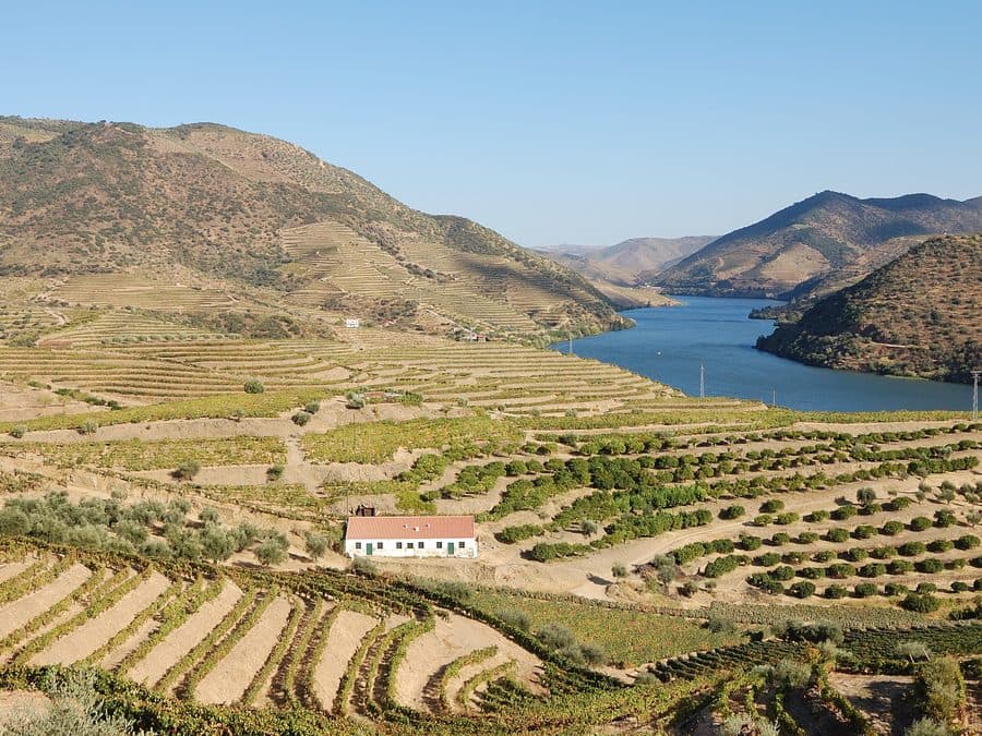 The Douro river winding between terraced hills